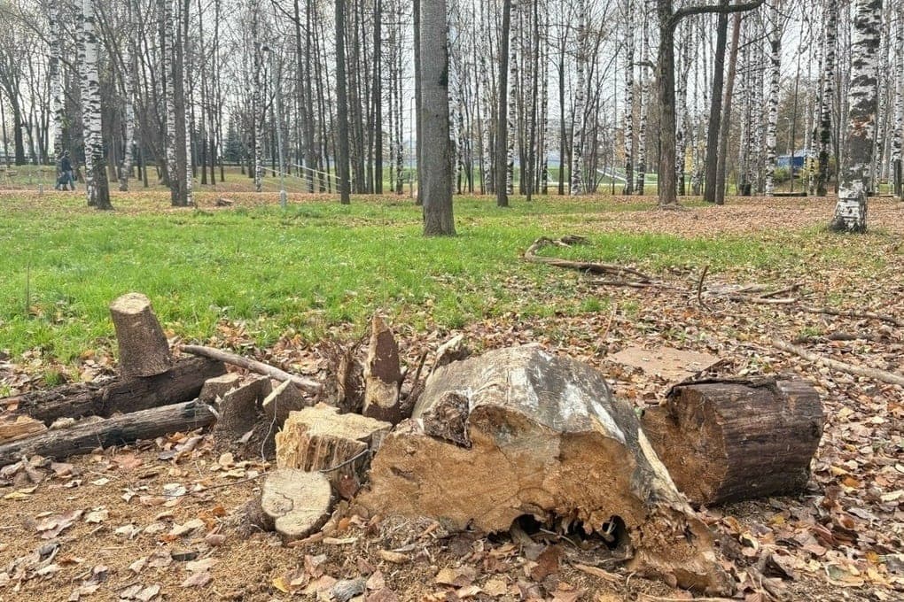 Réparation de Victory Park à Kirov pour 35 millions de roubles terminé uniquement sur papier