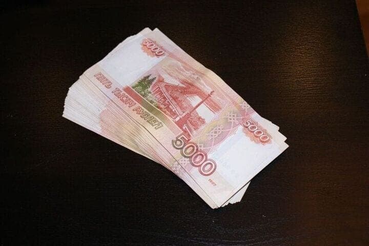 A resident of Bashkiria stole an illegally obtained subsidy