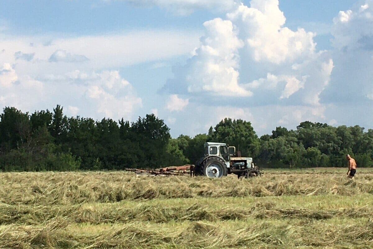 En la región de Voronezh se crearon 151 clases para preparar a los escolares para convertirse en agricultores