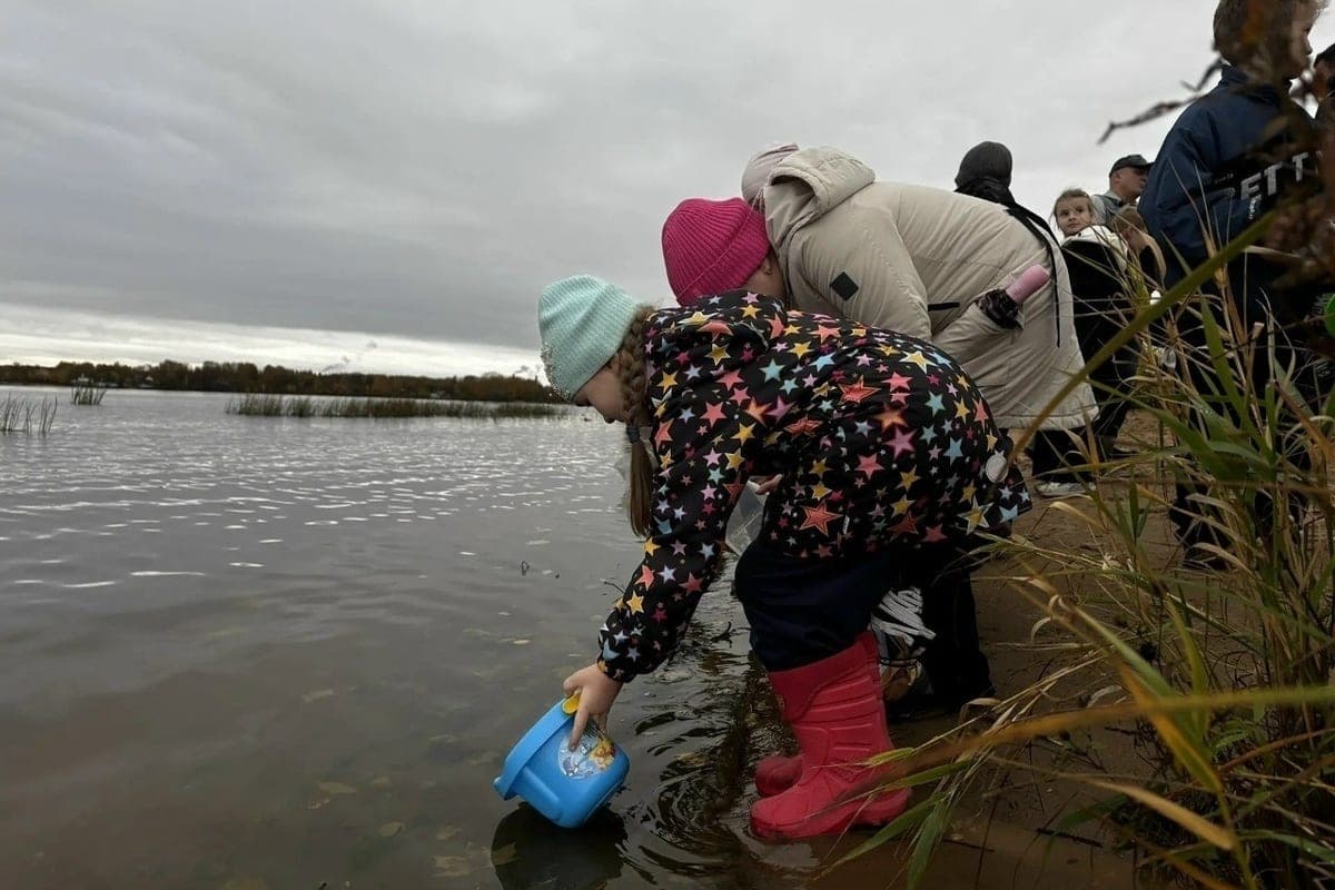 Los escolares Yaroslavl ganaron mil sazans por trabajo ambiental