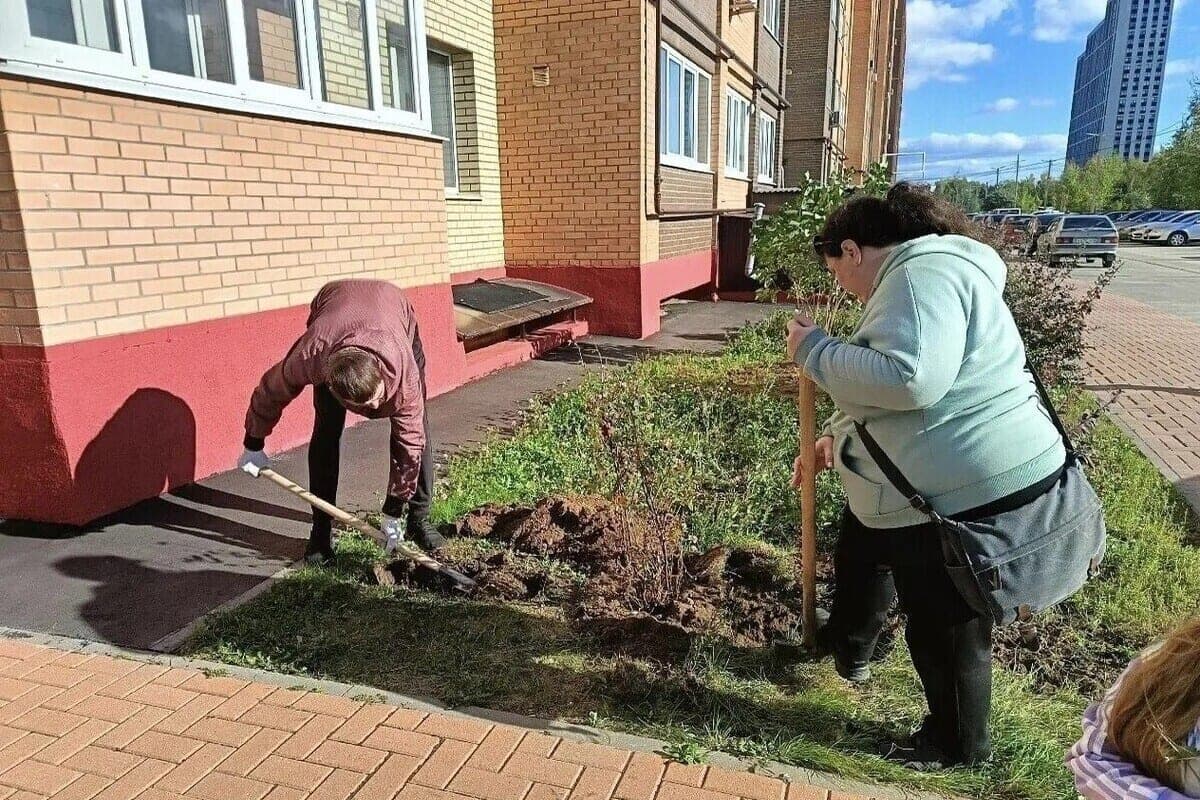 In Ryazan continue Saturdays in the territories of TOS