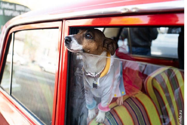 Exhibition of Soviet transport from "RetroChe" will be held in Cherepovets (0+)