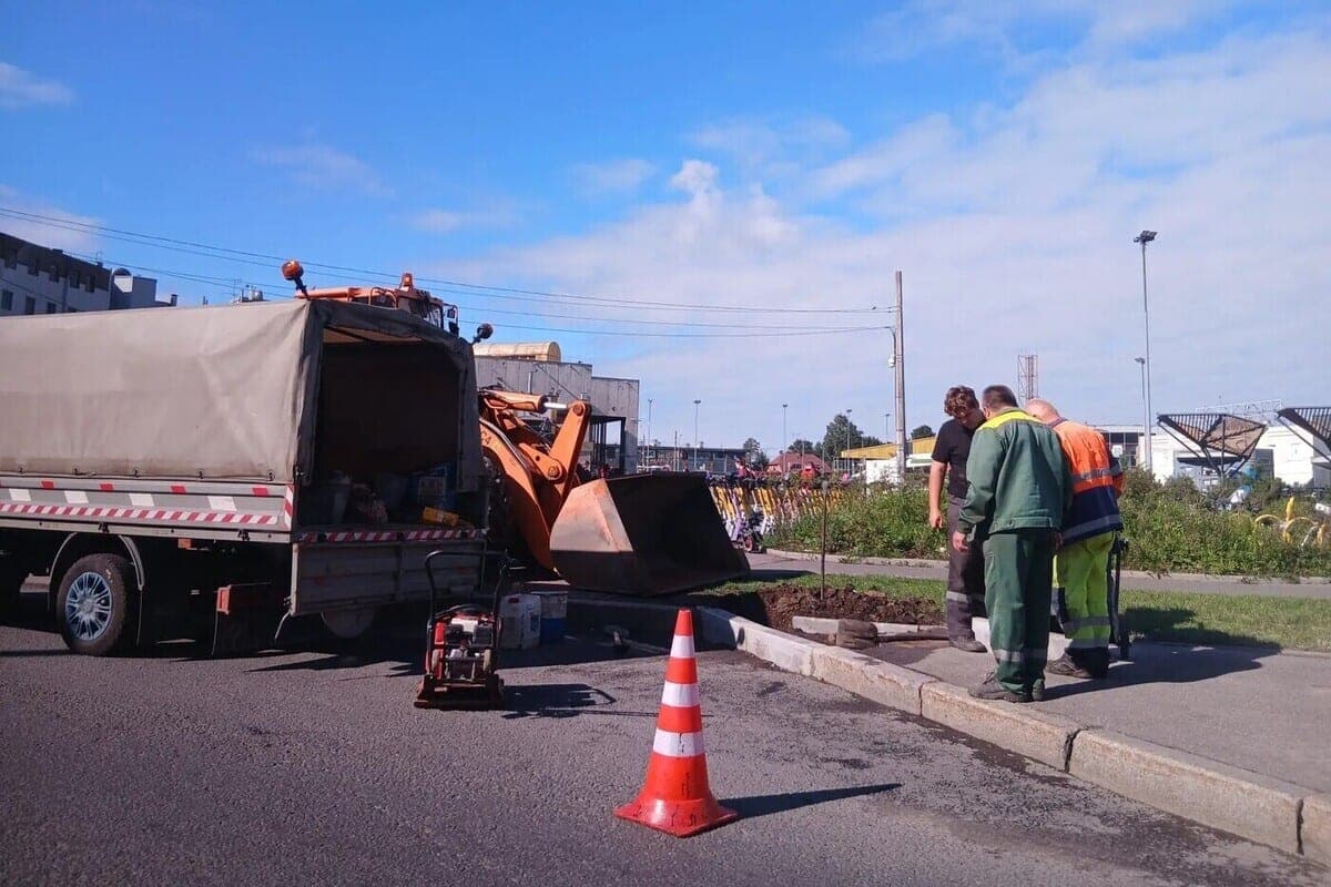 In Sestroretsk for six months will block the road because of the overhaul of Primorsky highway