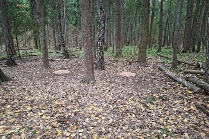 In the Kaluga region checked hunting grounds