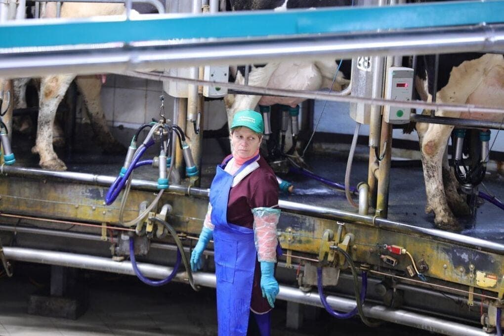 In the Chelyabinsk region increased salary offers in agriculture