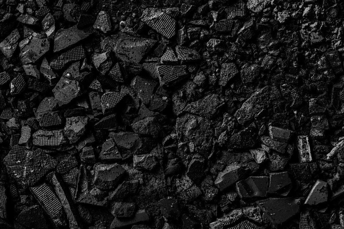 NLMK wood waste turned into biochar