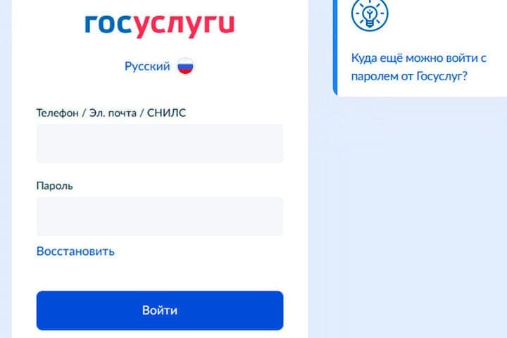 Residents of the Bryansk region will be able to connect electricity through public services