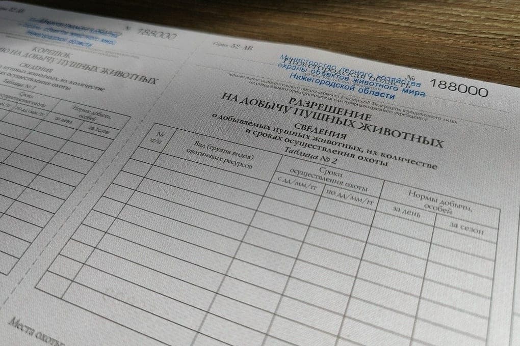 В Нижегородской области стартует охота на белку, куницу и рысь