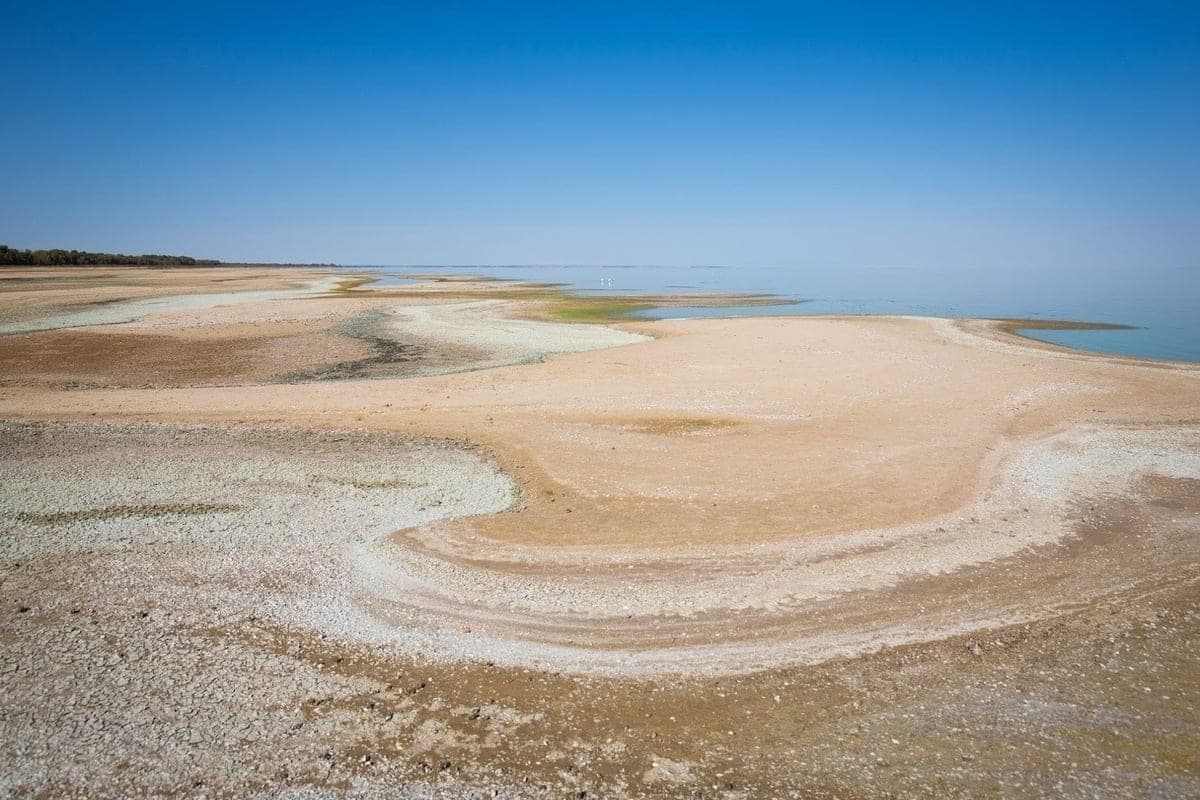 Salt marshes near Lake Elton in the Volgograd region turned crimson color