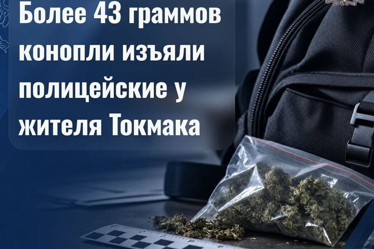 У жителя запорожского Токмака нашли более 43 граммов конопли