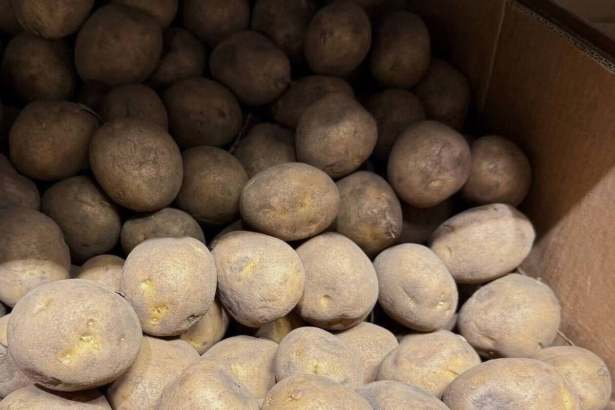 In Stavropol seized almost 26 tons of products from illegal traders