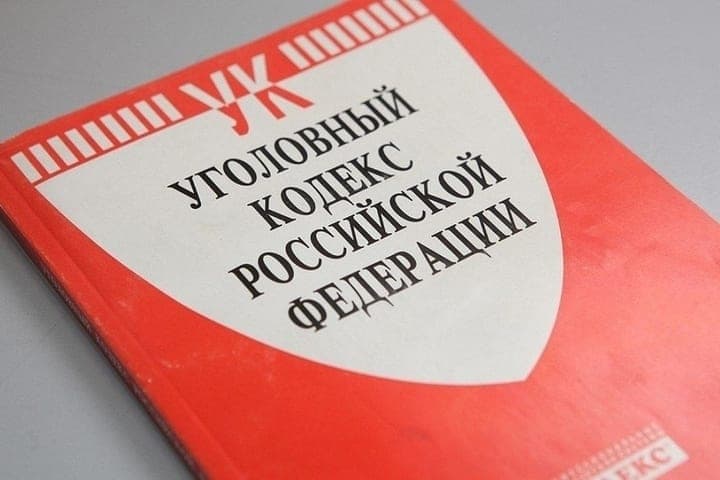 В отношении любительницы чужих наушников из Грязинского округа возбуждено уголовное дело