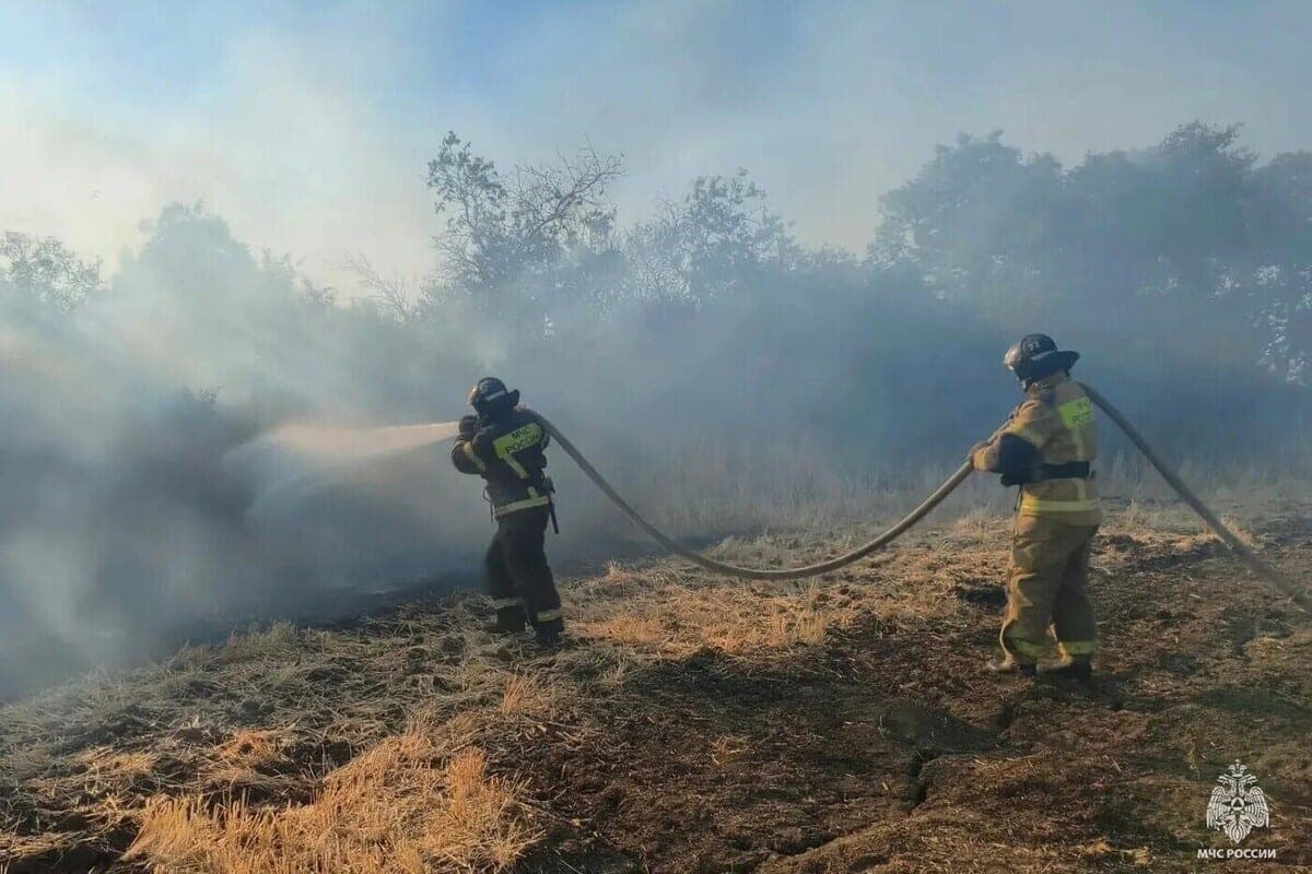 In der Region Zaporozhye löschte ein Tag lang ein Feuer