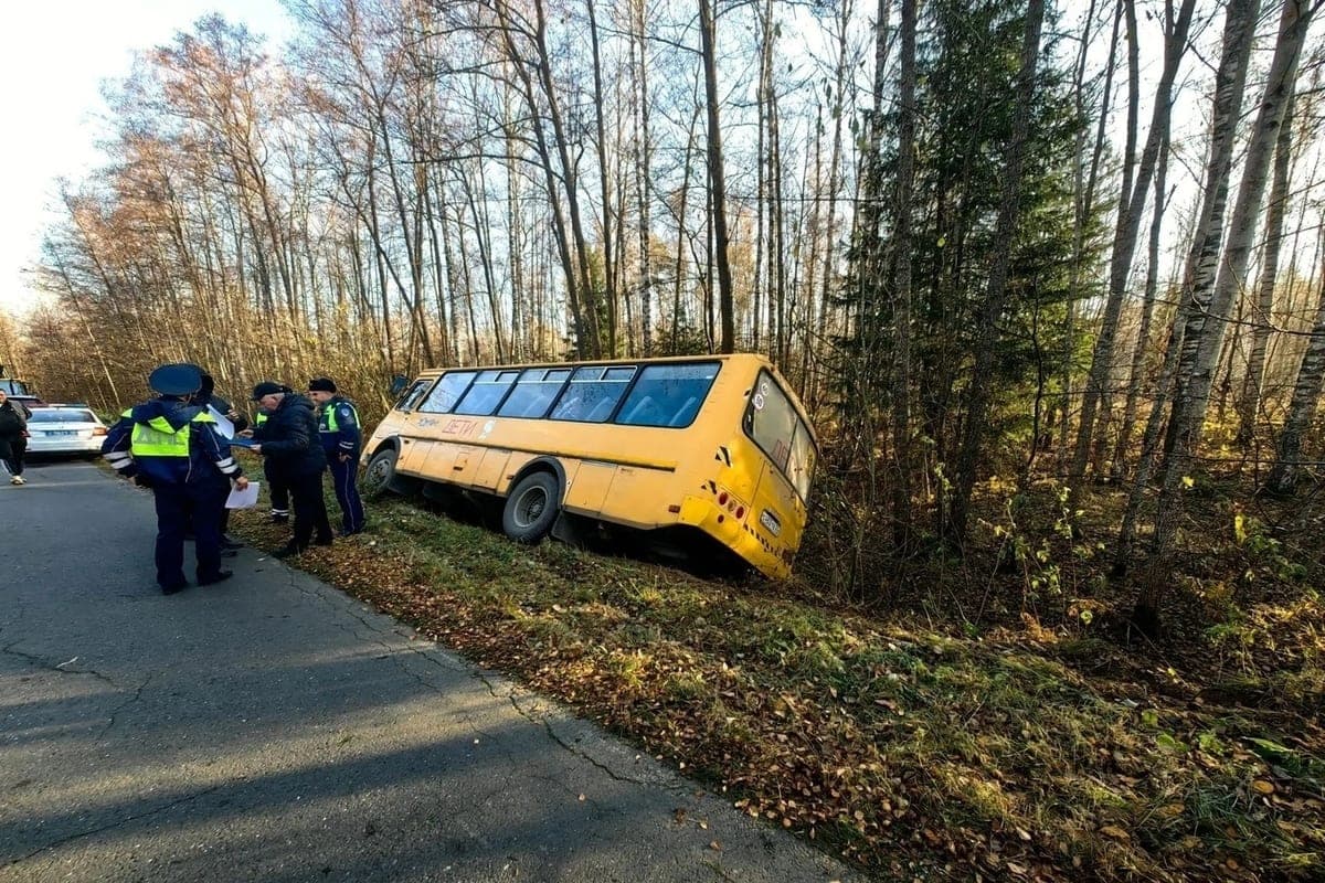 School bus with children flew to the ditch in Petushinsky district