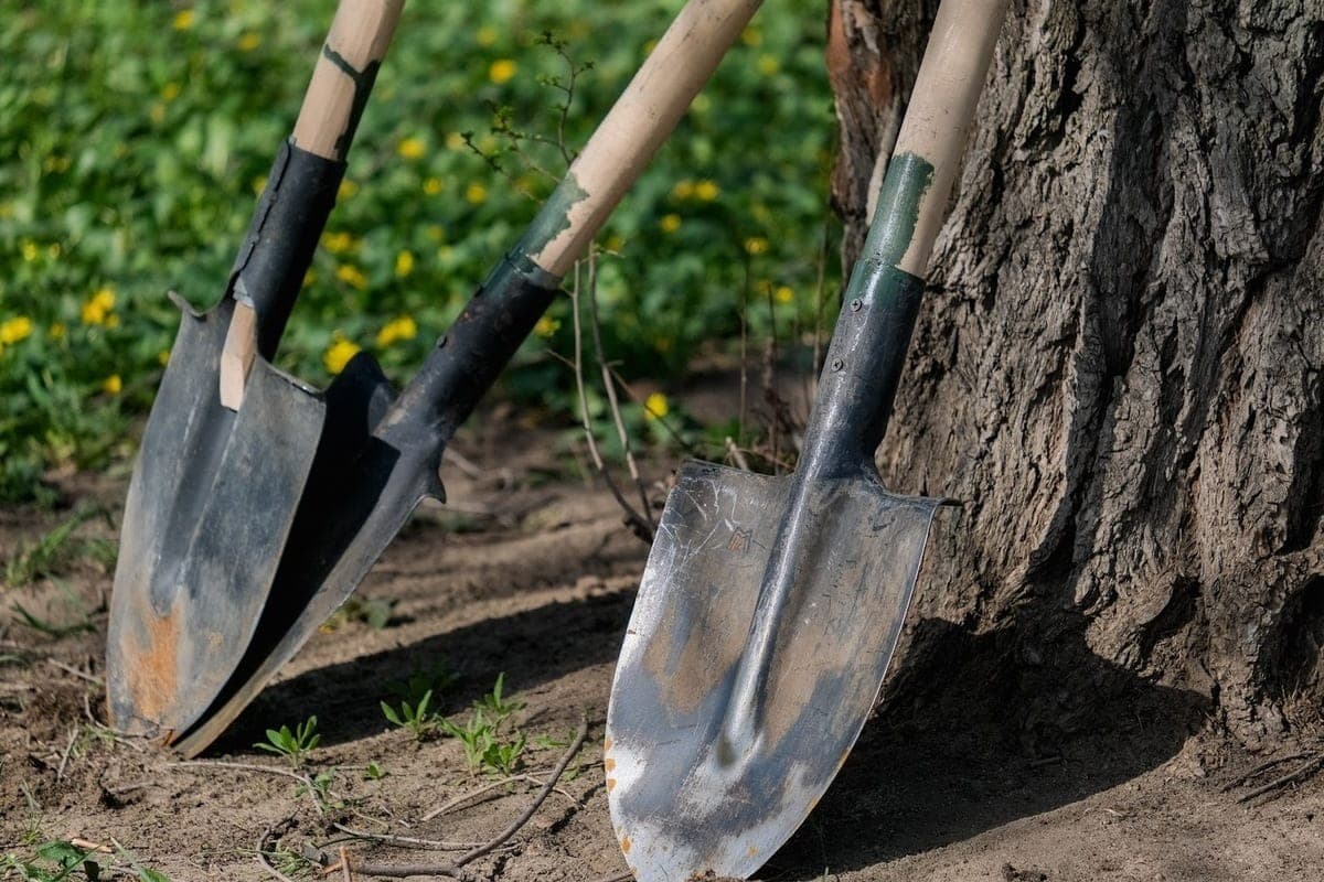 In the Volgograd region, a pensioner beat a friend with a shovel during a feast