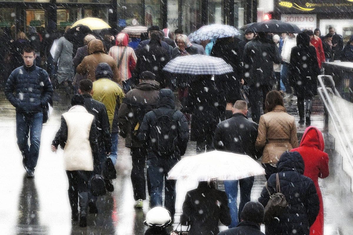 Novosibirsk under the impact of cold: up to minus 8 and wet snow