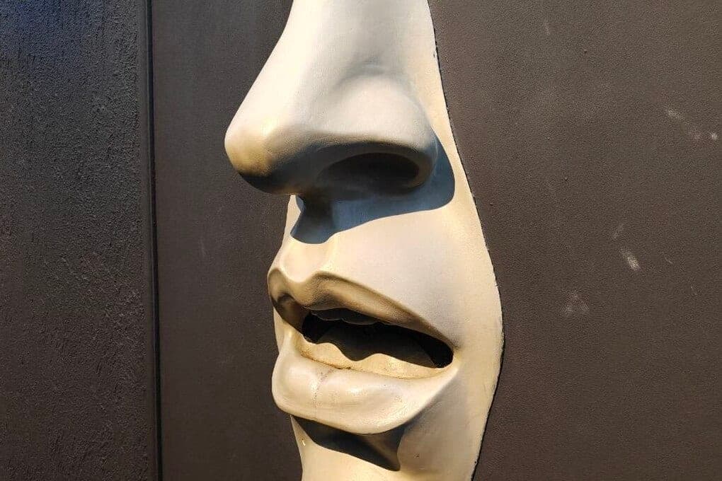 Resident of Revda bit off the tip of the nose of a passer-by and went to prison for hooliganism