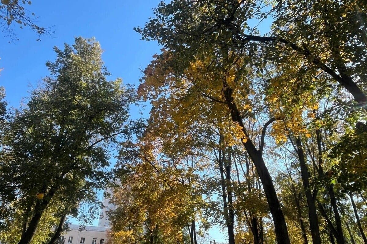 Синоптики рассказали, какой будет погода в Липецкой области в понедельник