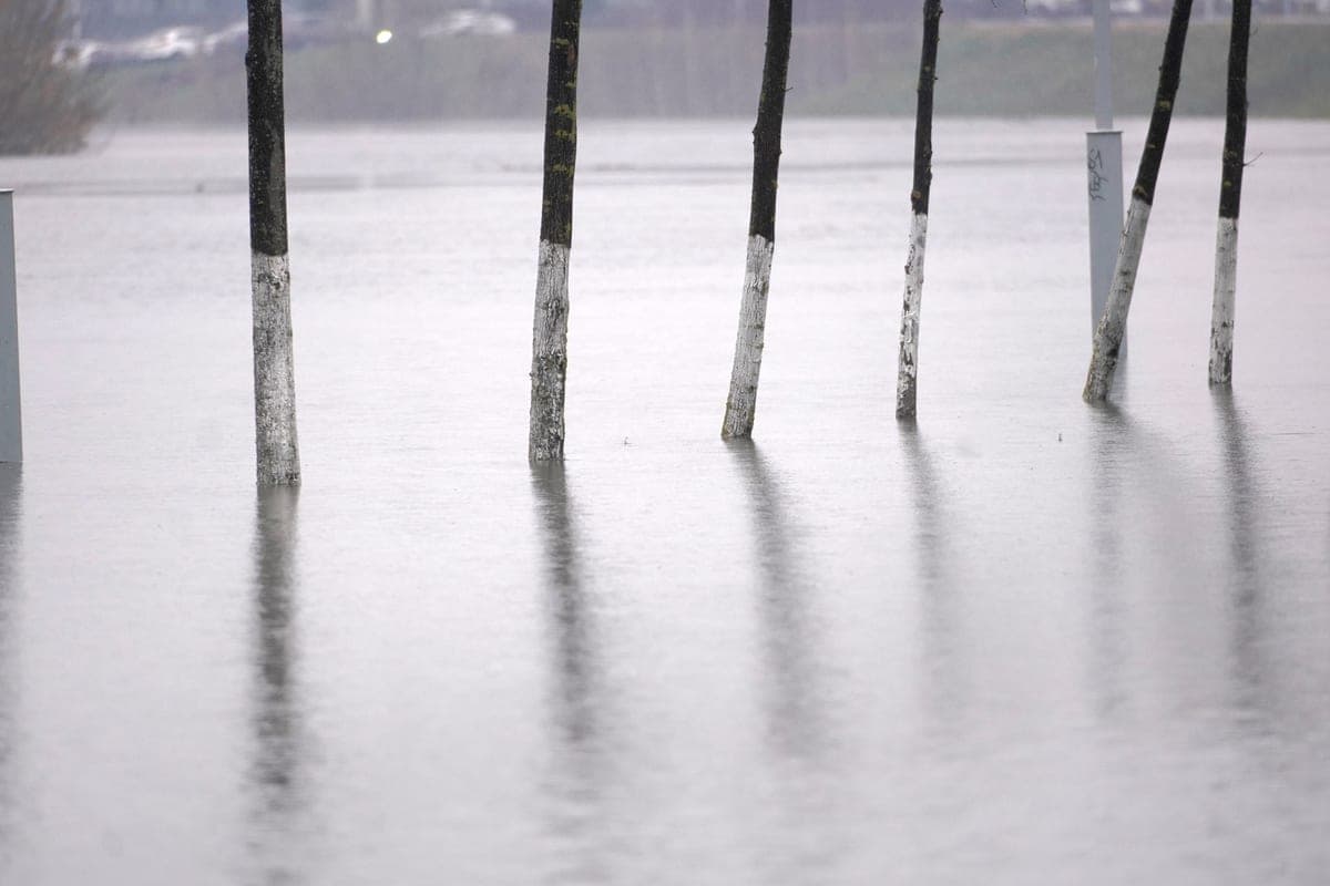 Dans la région de Tula, on comptait plus de 9 000 sites dans les zones inondables