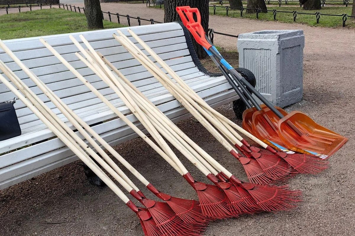 Residents of Veliky Novgorod were invited to the general cleaning on October 22, 23 and 24