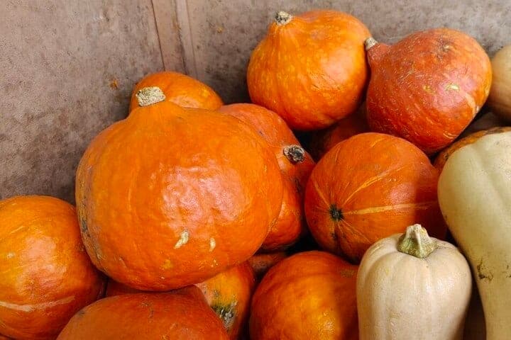 Autumn hit in the kitchen: how pumpkin is useful for the body