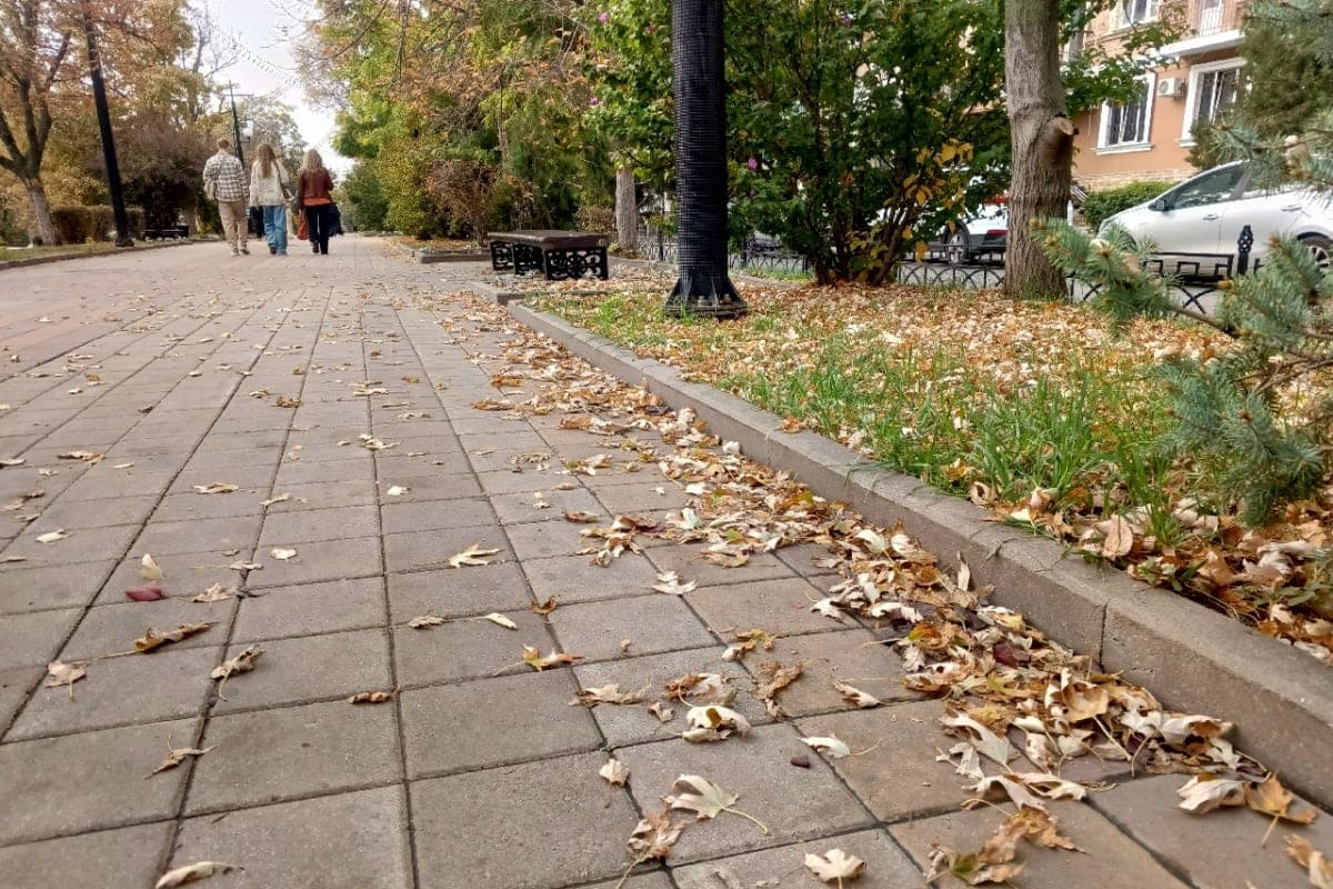В Ростовской области последний день октября пройдет с дождями и ветром