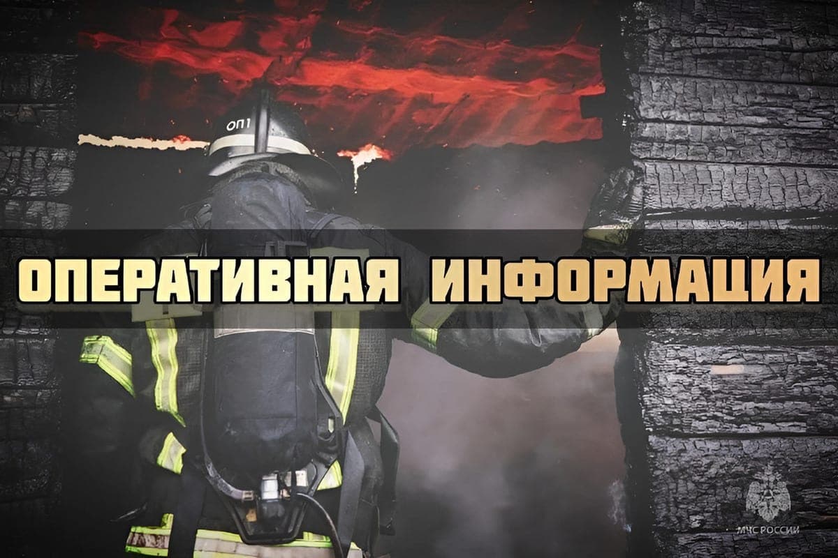 В Псковской области саперы обезвредили 33 снаряда времен ВОВ