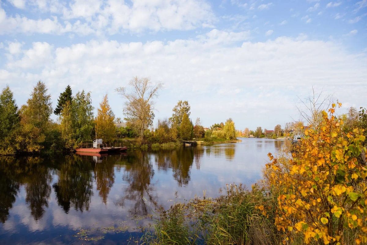 The head of the Leningrad region Alexander Drozdenko told about the special autumn in Sviritsa