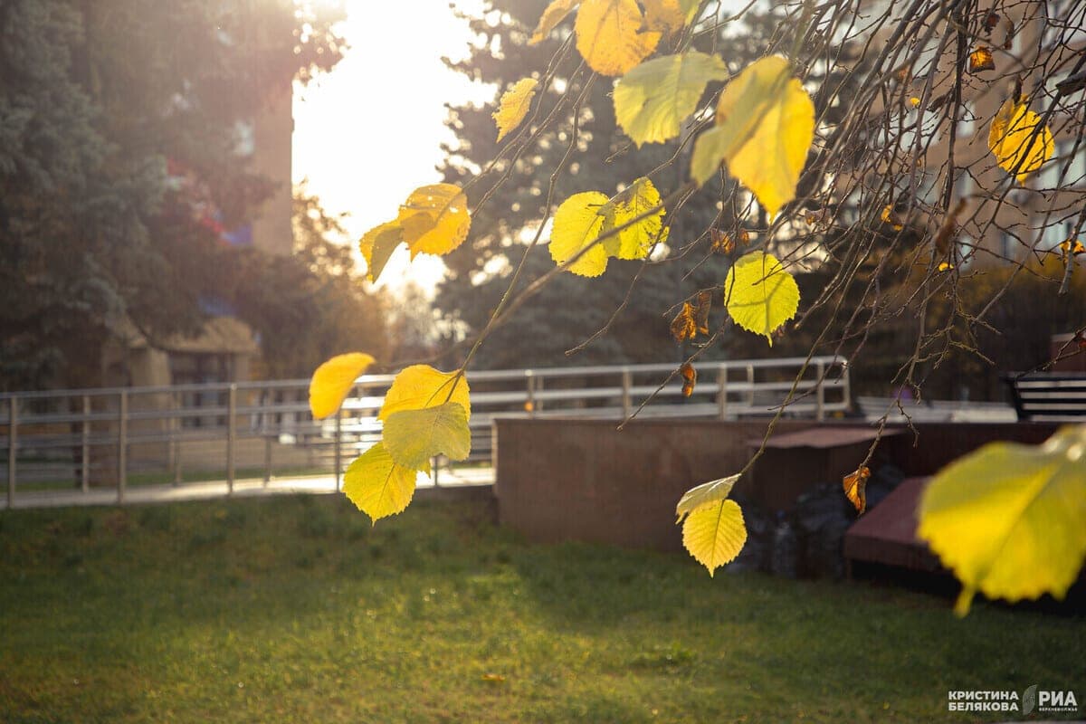 Dry weather is expected in the Tver region in the second half of the week