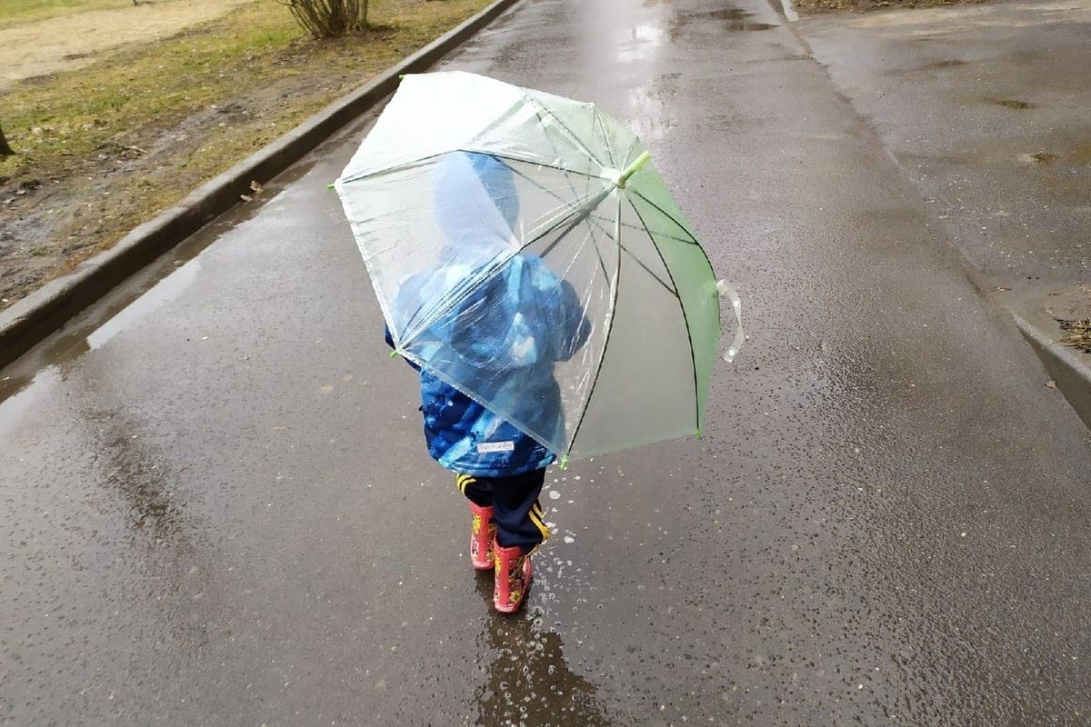 Heavy rains are predicted in the Vologda region