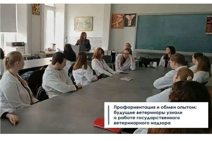 استُقدم طلبة من أكاديمية سمولينسك الزراعية للعمل في مجال الإشراف البيطري