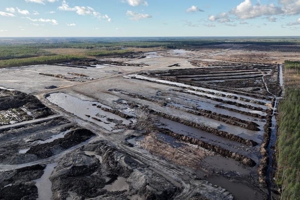 Google cut down hundreds of hectares of forest in neighboring Karelia Finland for the sake of data centers, and in the republic harmed nature for millions of rubles