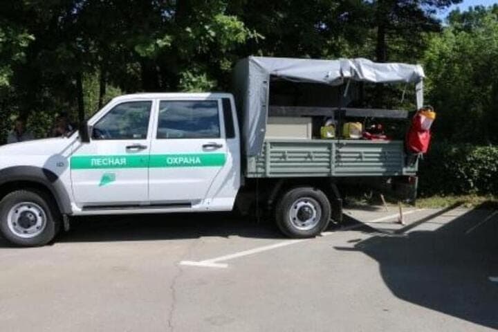Пензенские лесопожарные службы отчитались о завершении сезона