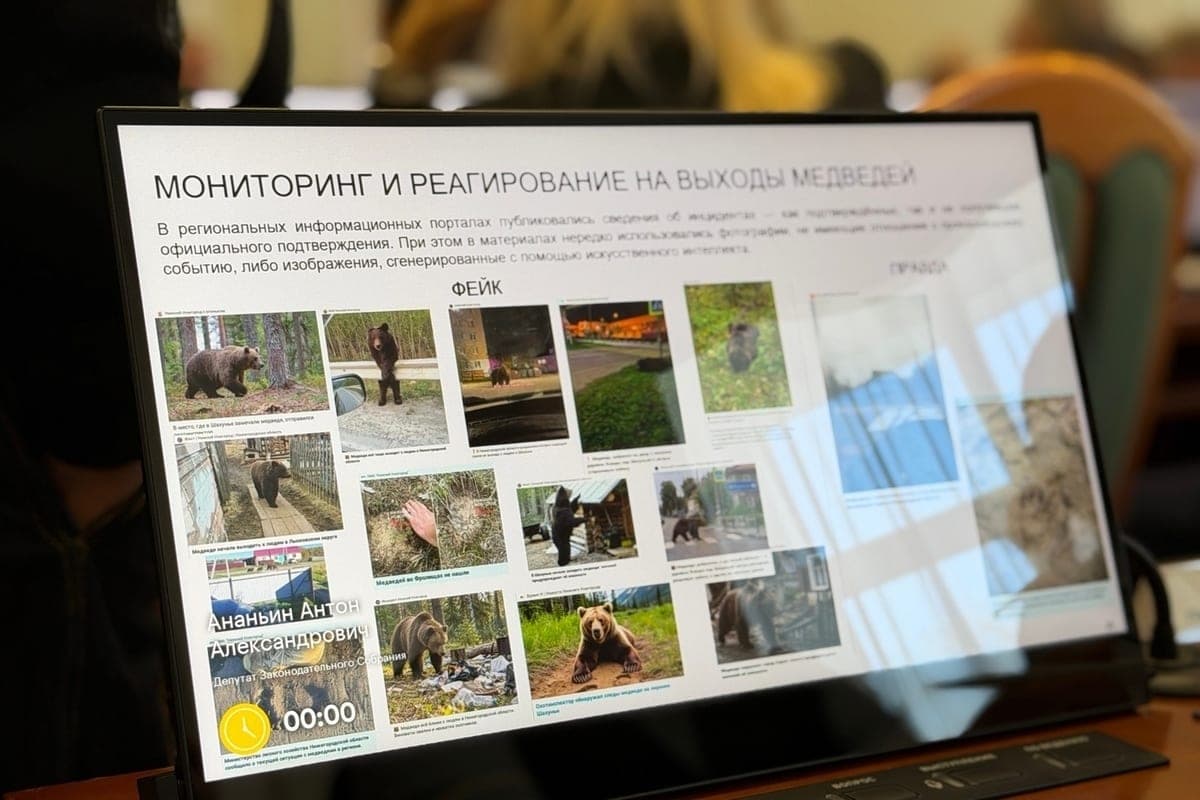 In the Nizhny Novgorod region want to simplify the hunt for bears