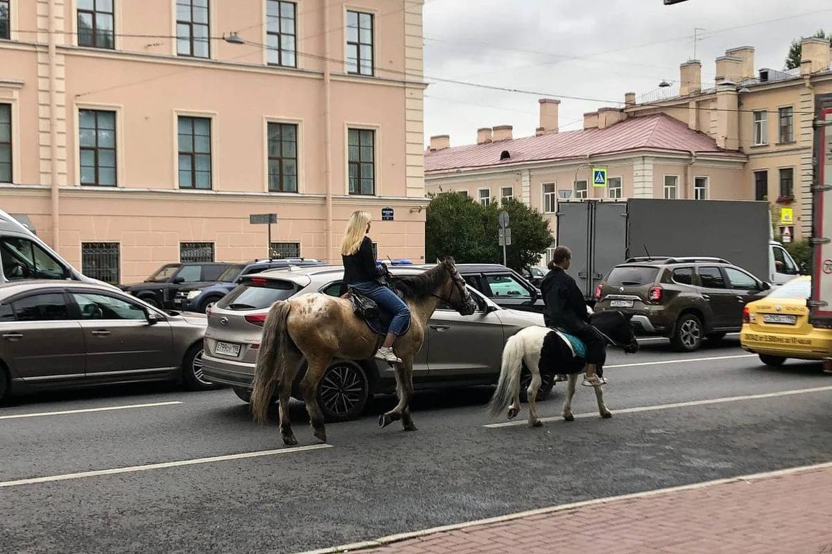 The court recovered from the Jewish community of Veliky Novgorod more than 150 thousand rubles for the injury of a horse