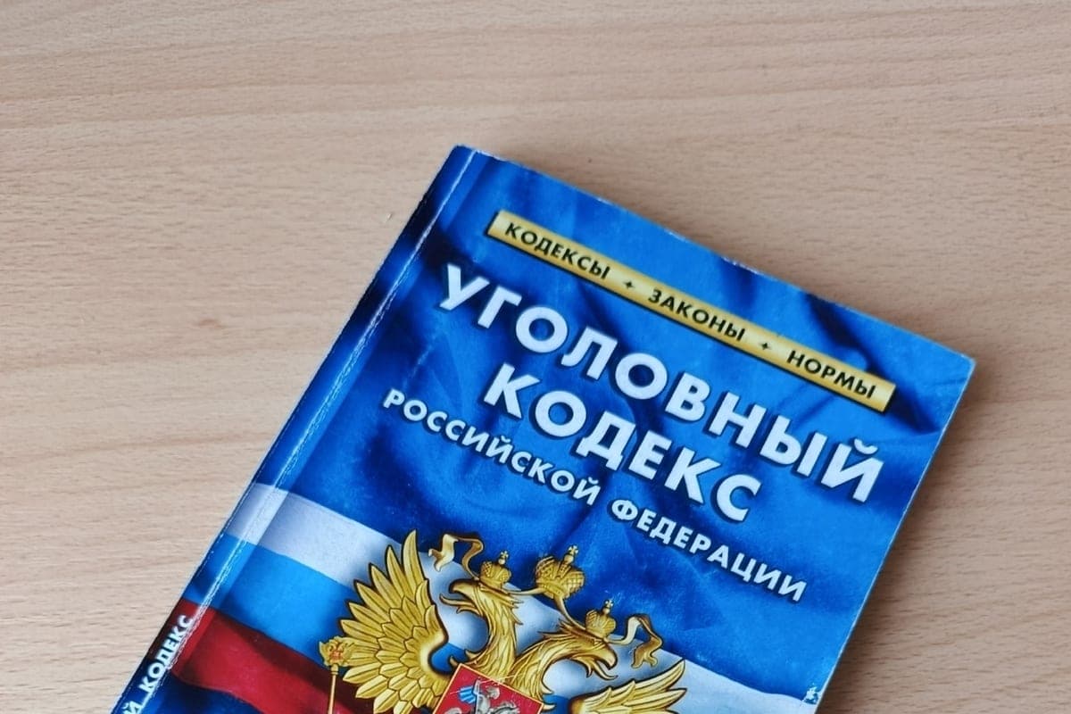 In Vladimir, the Prosecutor sent to the court a criminal case of hooliganism