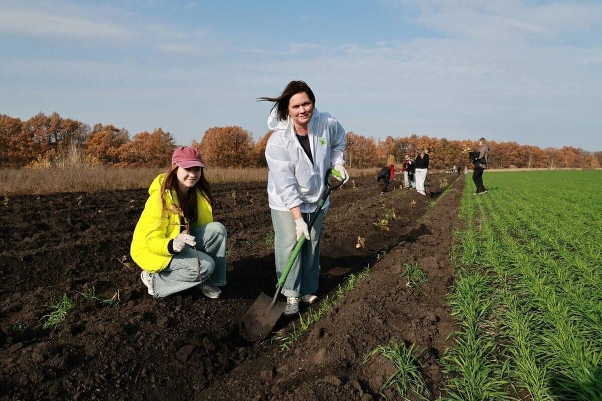 Milyaev announced the planting of 5.5 thousand trees on the Kulikovo field