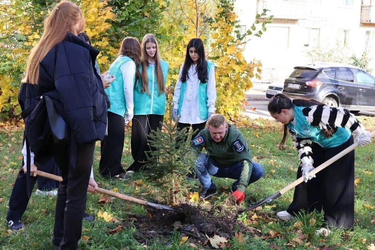 Ryabins, aronia and spruce landed in the square of the 239th division in Novomoskovsk
