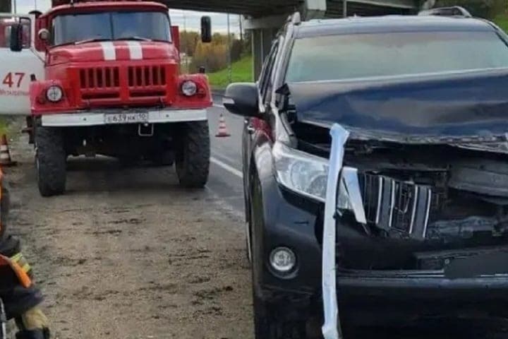 На трассе «Кола» в Карелии дикие кабаны стали виновниками ДТП