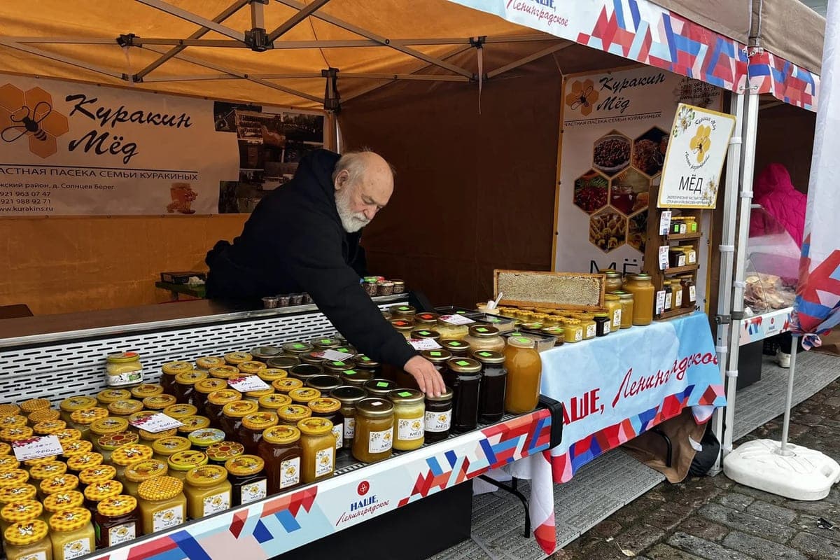 The fair “Our, Leningrad” takes place in Vyborg on October 24 and 25