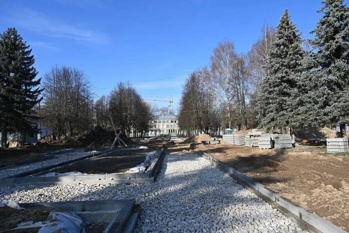 В сквере Большевика сохранят ели и поставят видеонаблюдение