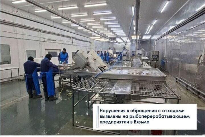 Роспотребнадзор оштрафовал Вяземское рыбоперерабатывающее предприятие