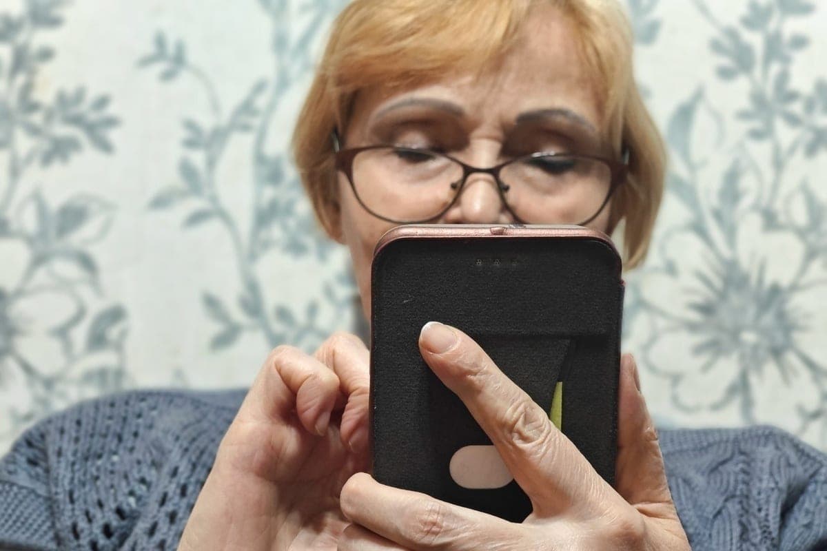 New bot will help Vologda residents find their home chat