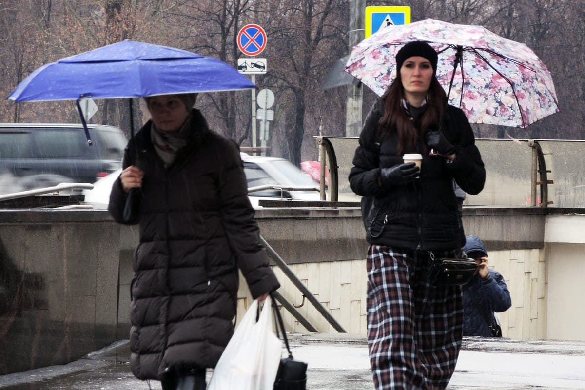 “Rare for October thunderstorm”: the weather forecaster gave Muscovites a disappointing forecast for the week