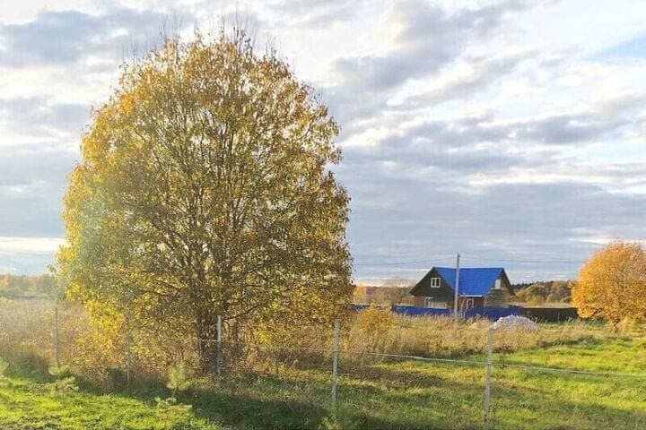 Forecasters on October 24 predict cloudy weather in Smolensk with clarifications