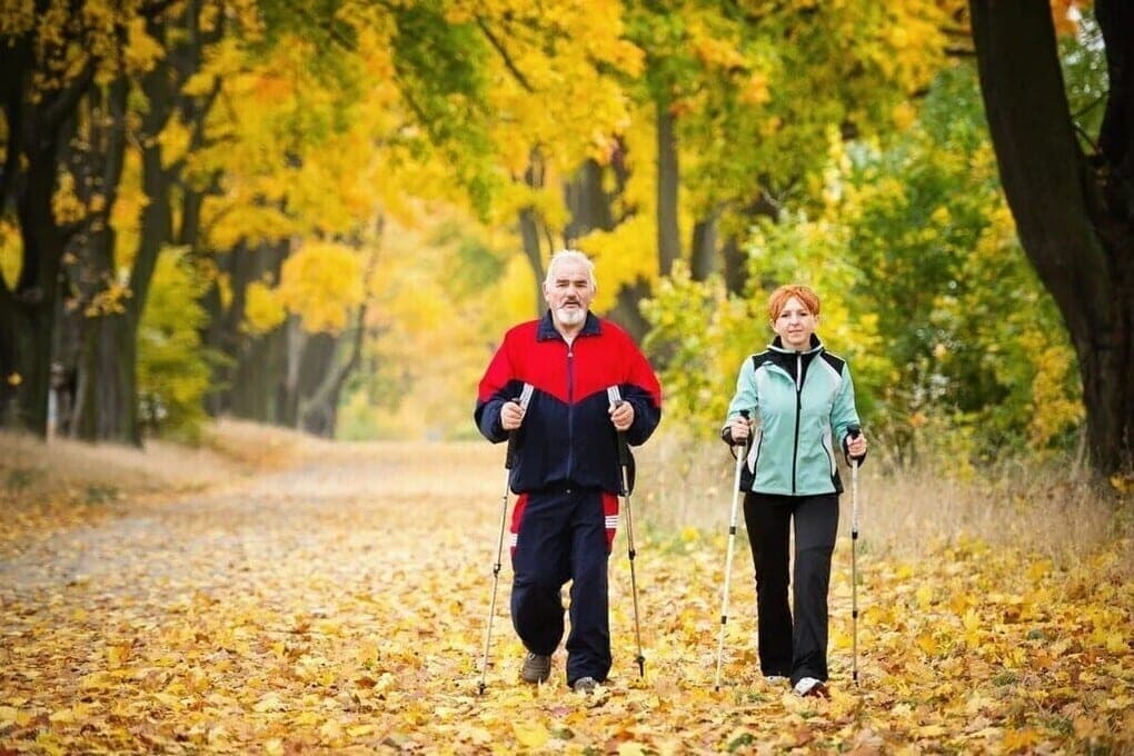 How to cope with autumn fatigue: advice from doctors
