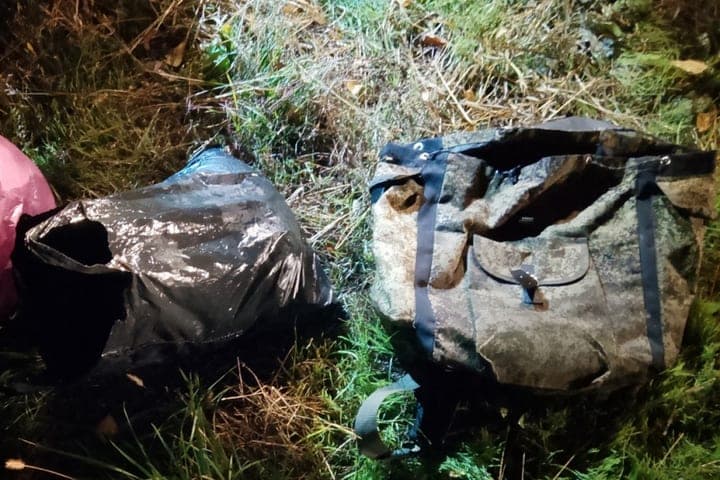 Lipetsk poachers suspected of stealing carp