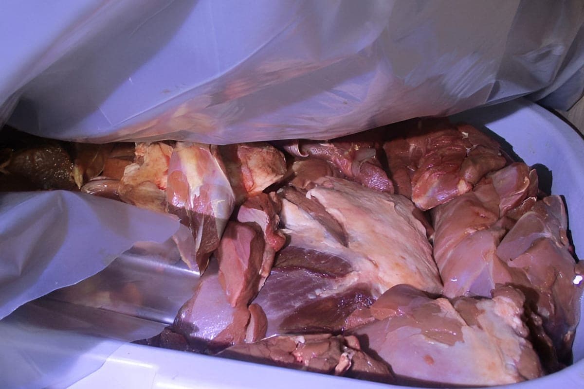 In Nevelsky district stopped the illegal transportation of a ton of meat of wild animals