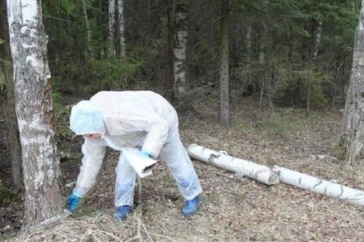 В Ивановской области ветеринары начали прививать диких животных от бешенства