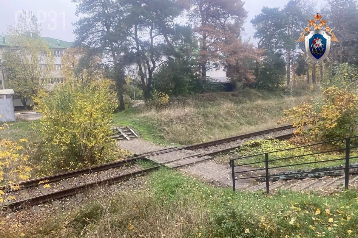 Шебекинца задержали за две попытки убийства прохожих